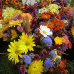 Fall bouquets with a wide variety of chrysanthemums.