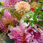 Peachy pink hues of dahlias; the stars of late summer and fall.